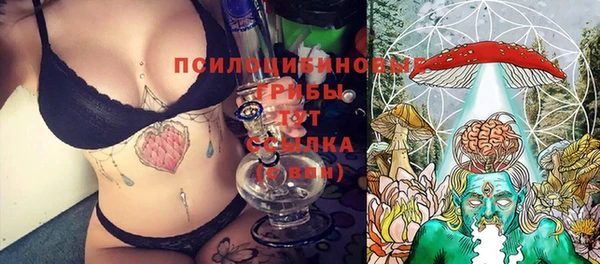 спиды Вязьма