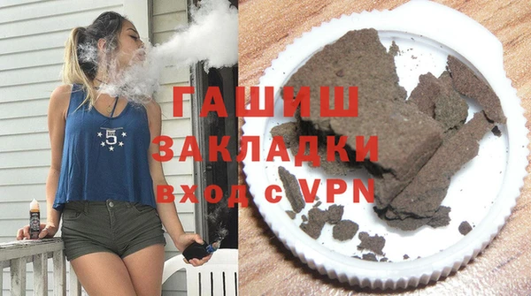 амф Тайга
