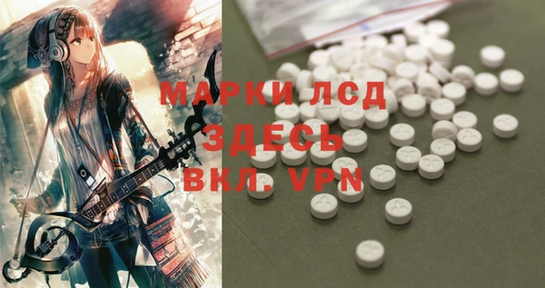 spice Вяземский